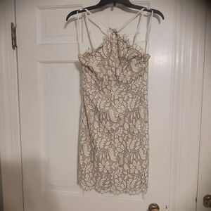 Delicate Darling Beige and Ivory Lace Lulus Dress